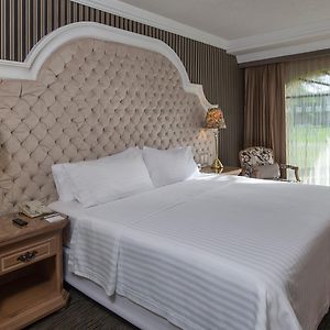 Suite de 1 Dormitorio y Cama King